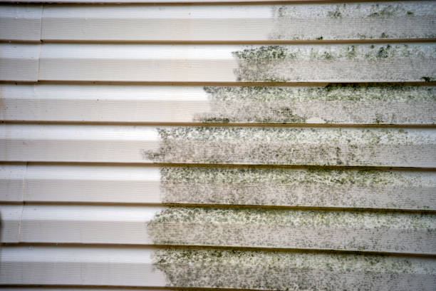 Siding for Multi-Family Homes in Baileys Crossroads, VA